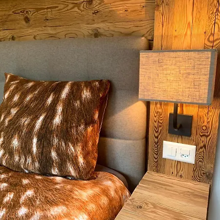 Apartament Ultra Luxurious 2-family On The Slopes In Arosa, Ch