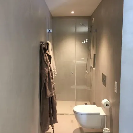 Apartment Ultra Luxurious 2-family On The Slopes In Arosa, Ch