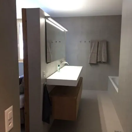 Apartment Ultra Luxurious 2-family On The Slopes In Arosa, Ch Arosa